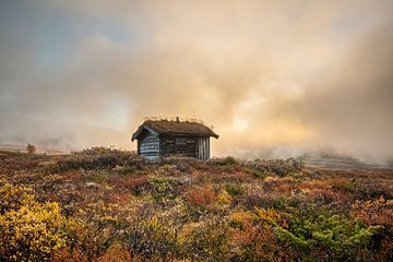 Hutje in de bergen in Noorwegen in de herfst van Andy Luberti