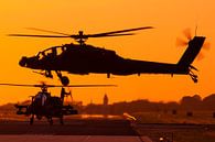 Apache helicopters during sunset von Jimmy van Drunen Miniaturansicht