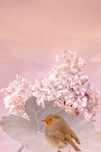 Roodborst in een pastelkleurige omgeving.