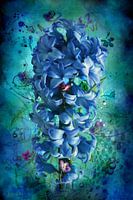 Blauwe hyacint met losse bloemen in een artistieke setting.