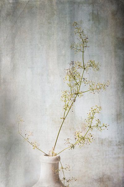 Mauvaises herbes de rêve par Saskia Schepers