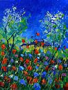 Popppies, poppies, poppies par pol ledent Aperçu