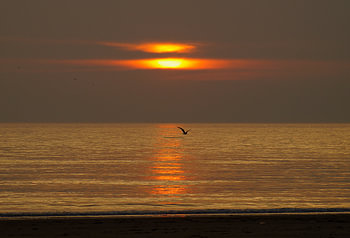 Zonsondergang Texel 
