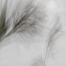 Le mouvement dans la nature sur Ankie Kooi