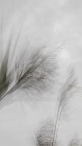Bewegung in der Natur