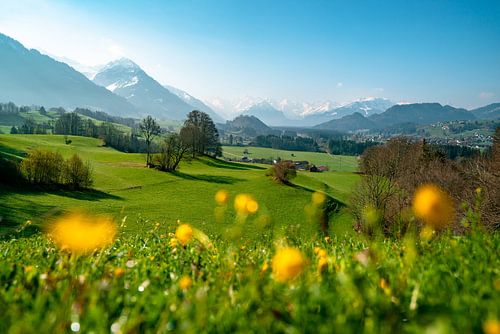 lenteachtig uitzicht vanuit de Malerwinkel in de Allgäu naar de Allgäuer Alpen