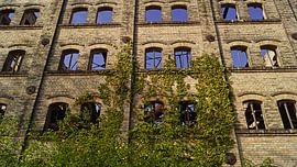 Ruin of the storehouse of the mill complex Böllberg in Halle in Germany