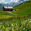 Prairie alpine en Autriche sur Erich Fend