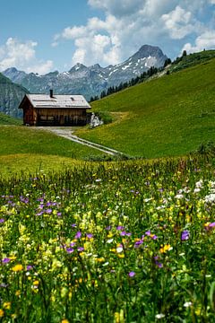 Alpenweide in Oostenrijk van Erich Fend