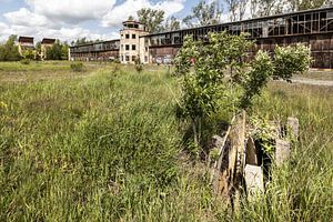 Alter Hangar, Flugkontrollturm und Motorenprüfstand sowie Bunker - Lost Place Alter Flugplatz Rangsdorf