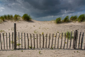 Holzzaun an der Markierung Wattenmeer