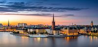 Stockholm Panorama von Adelheid Smitt Miniaturansicht