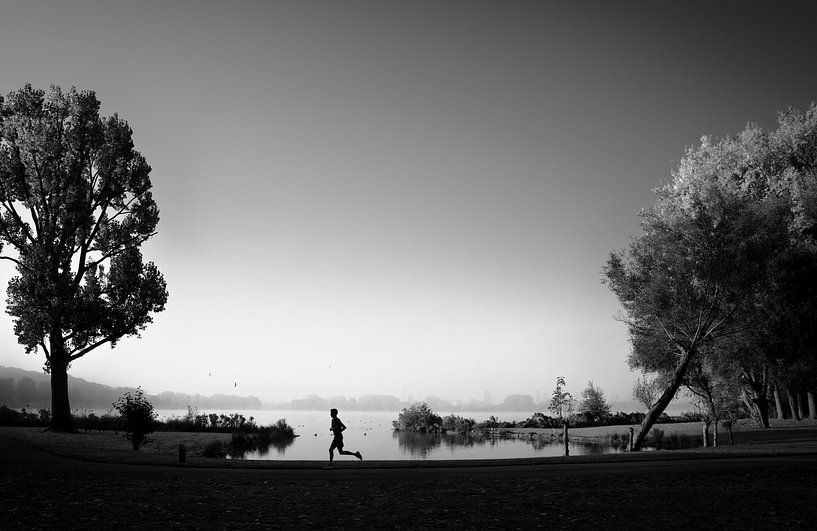 Kralingse Plas by Hans Zijffers