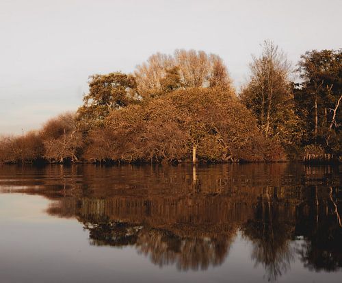 Reflexion der Natur von D’ Emmelie