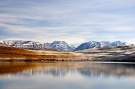 Lake Alexandrina van Jessica de Heij thumbnail