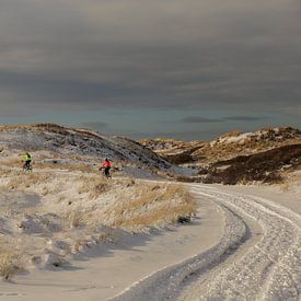 Ameland winterwonderland van Rinnie Wijnstra (FotoAmeland )