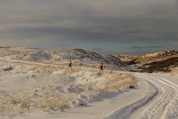 Ameland winter wonderland