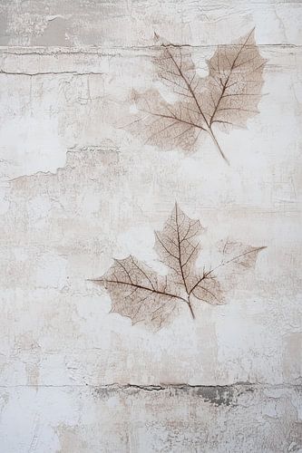 Feuilles intemporelles