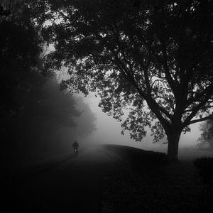 Cycliste solitaire dans le brouillard