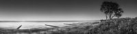 Landschap en kust van Ahrenshoop aan de Oostzee in zwart-wit van Manfred Voss, Zwart-Wit Fotografie thumbnail