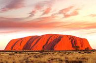 Uluru (Ayers Rock) coucher du soleil par Inge Hogenbijl Aperçu