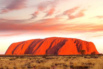 Uluru (Ayers Rock) coucher du soleil sur Inge Hogenbijl