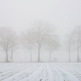 Minimalistische Winterlandschaft mit Feld und Baumreihe von Jan Fritz