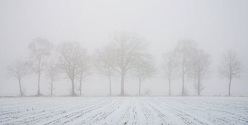 minimalistisch winterlandschap met akker en bomenrij
