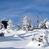 Uitzicht op de besneeuwde Brocken top in het Harz gebergte van t.ART