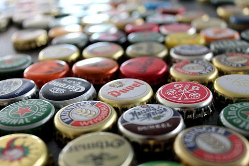 Gros plan sur Beerdop