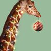 Kerstmis Giraffe van Jonas Loose