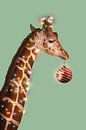 Christmas Giraffe von Jonas Loose Miniaturansicht