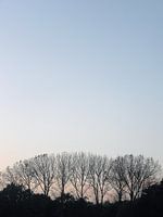 Herfst