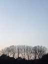 Herfst van Marc Otte thumbnail