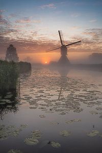 Le vieux moulin à digues