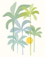 Soleil tropical