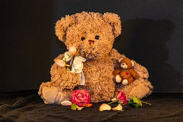 Teddy verliefd van Margit Kluthke