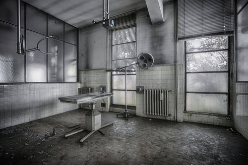 Animal Lab