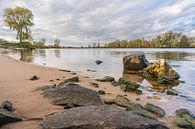 het schilderachtige landschap van de Maas nabij Oud Empel van Pixel Meeting Point thumbnail