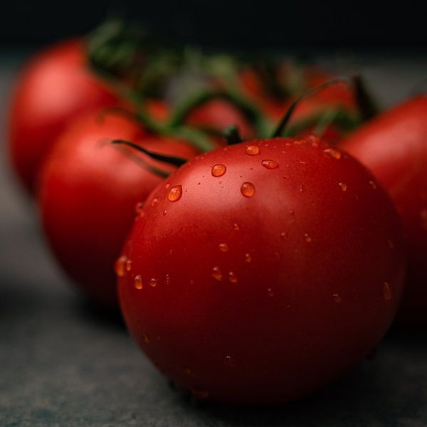 Tempting tomatoes by Pure Details by Linda