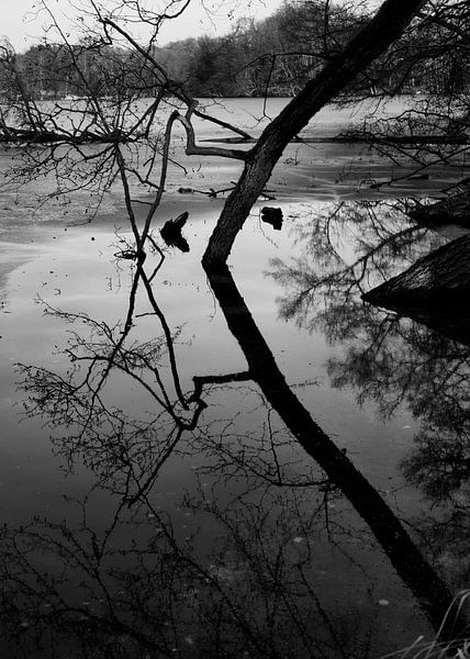 Water Reflectie van Iritxu Photos