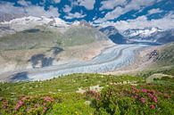 Uitzicht op de Aletschgletscher van Rob Kints thumbnail