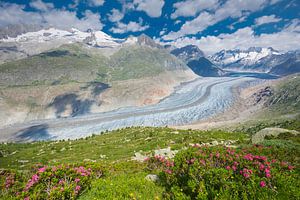 Uitzicht op de Aletschgletscher van Rob Kints