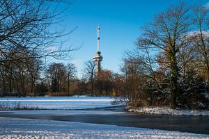 Der Euromast - Winter 9