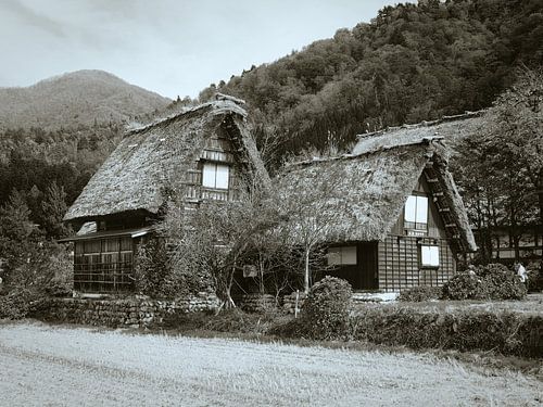 traditioneel japans huisje