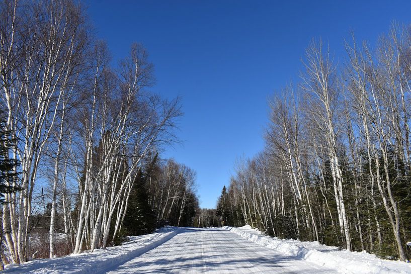 Eine Landstraße im Winter von Claude Laprise