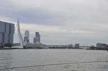 de Erasmusbrug in Rotterdam van Jeroen Franssen