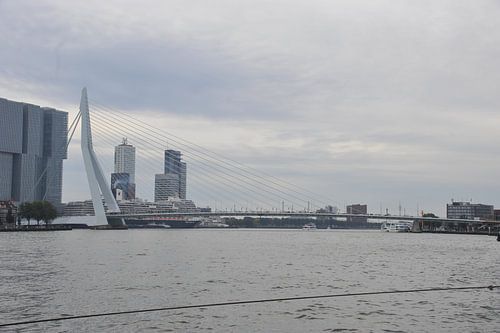 le pont Erasmus à Rotterdam sur Jeroen Franssen