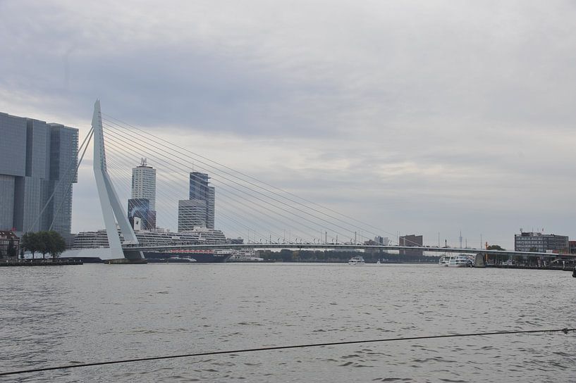 le pont Erasmus à Rotterdam par Jeroen Franssen