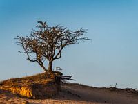 still standing